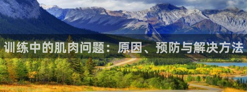 哈哈体育十年：训练中的肌肉问题：原因、预防与解决方法
