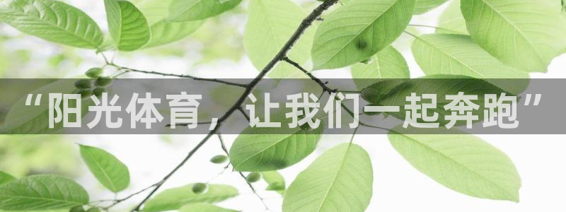 哈哈体育：“阳光体育，让我们一起奔跑”