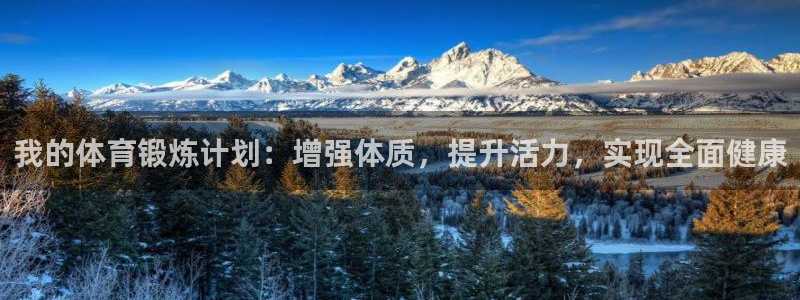 哈哈体育十年：我的体育锻炼计划：增强体质，提升活力，实现全面健康