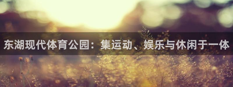 哈哈体育十年：东湖现代体育公园：集运动、娱乐与休闲于一体