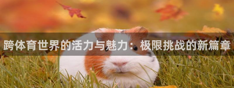 哈哈体育：跨体育世界的活力与魅力：极限挑战的新篇章