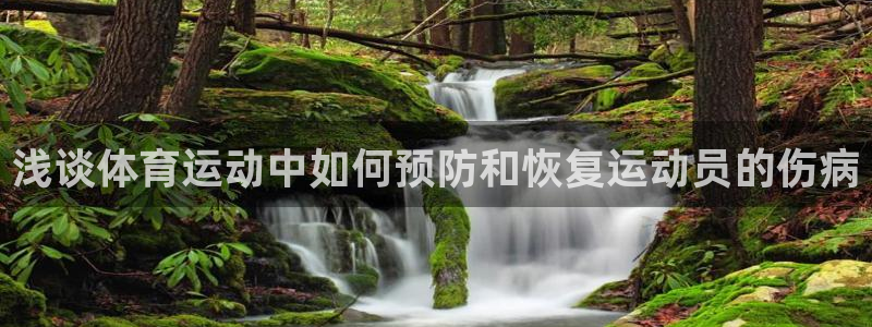 哈哈体育十年：浅谈体育运动中如何预防和恢复运动员的伤病