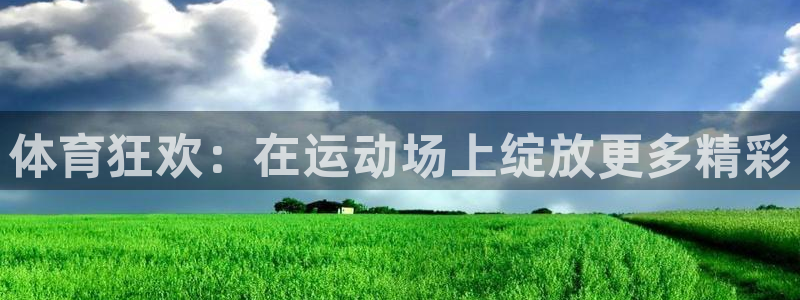 哈哈体育十年：体育狂欢：在运动场上绽放更多精彩