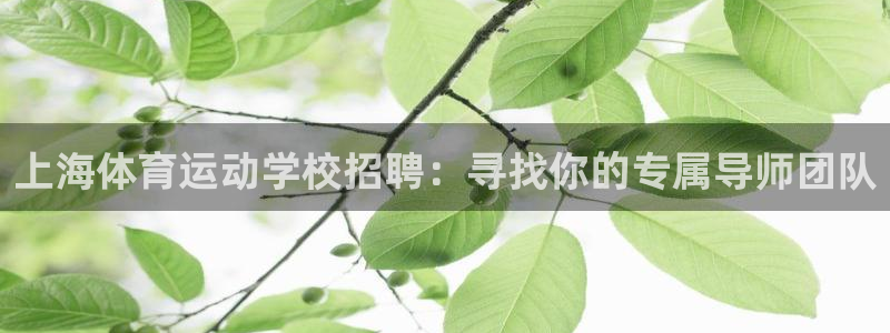 哈哈体育下载：上海体育运动学校招聘：寻找你的专属导师团队