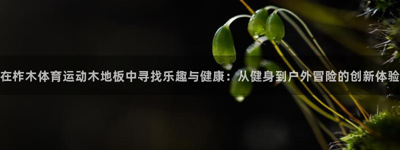 哈哈体育下载：在柞木体育运动木地板中寻找乐趣与健康：从健身到户外冒险的创新体验